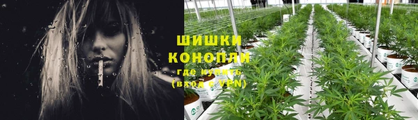 Альфа ПВП Богданович