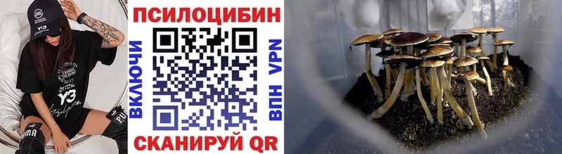 Галлюциногенные грибы Cubensis Афипский